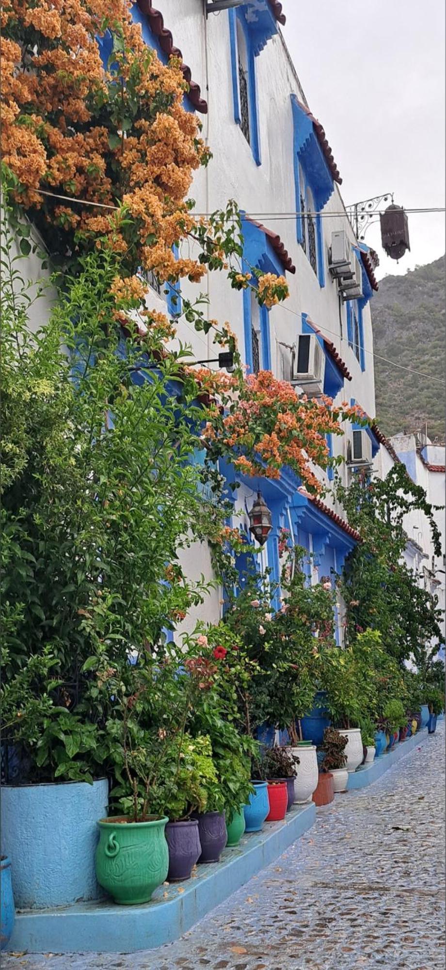 Dar Yakout Hotel Chefchaouen Exterior photo